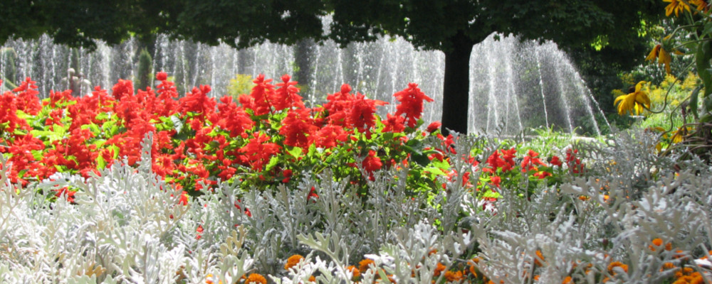 санаторий в Польше горы Бескиды Крыница Здрой